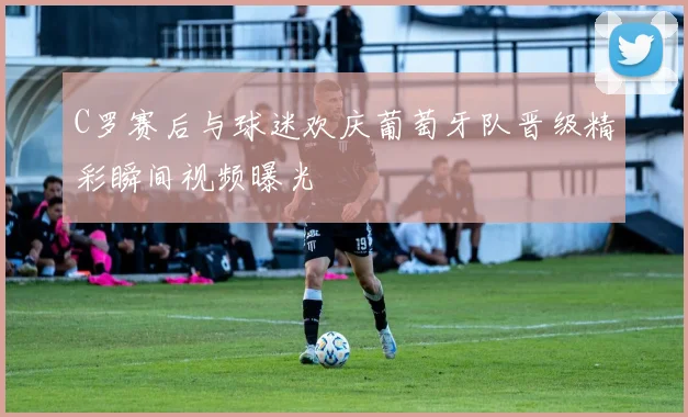 C罗赛后与球迷欢庆葡萄牙队晋级精彩瞬间视频曝光