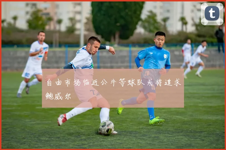 自由市场临近公牛等球队或将追求鲍威尔