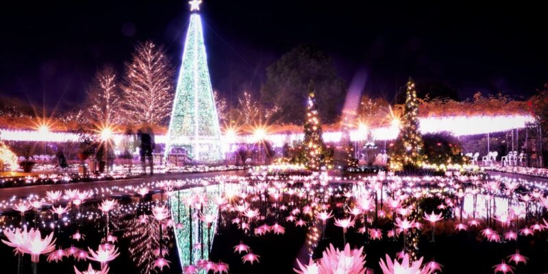 Ashikaga_Flower_Park-Ashikaga_Tochigi_Prefecture_Kanto_Japan_Christmas1.jpg
