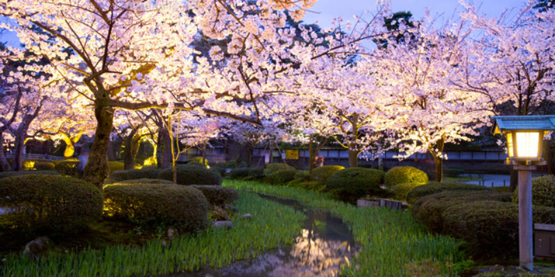 Kenroku-en-Garden-at-night_Kanazawa-_-Japan.jpg