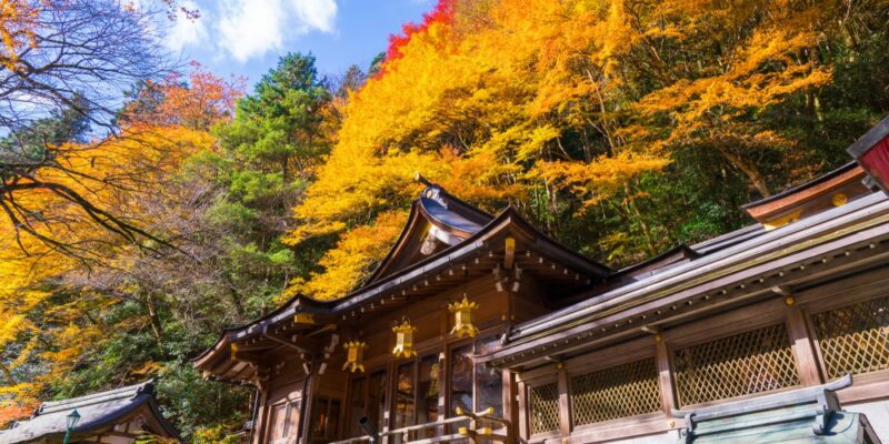 Kifune-Shrine-Autumn-Leaves.jpg