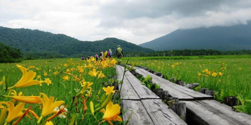 Oze-National-Park-in-Gunma-Prefecture2.jpg
