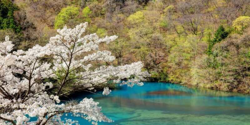 Shima-onsen-shima-river-spring.jpg