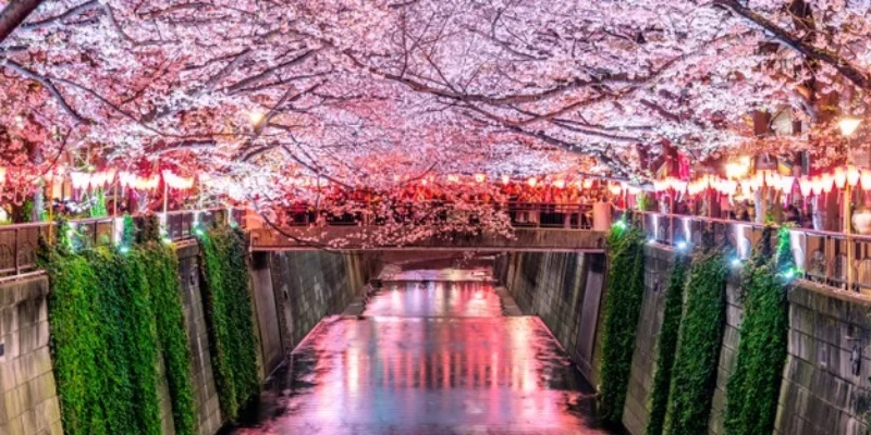 fileiras-de-cerejeiras-ao-longo-do-rio-meguro-em-toquio-japao_335224-236.jpg.webp