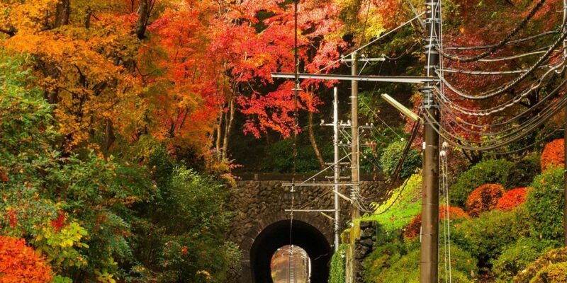 mount-takao-autumn-fall-takaosan-8.jpg